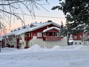 Levi Levistar H201 - 基蒂莱