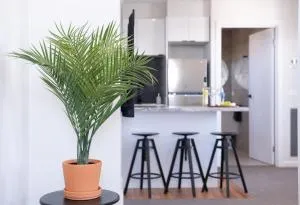 Silversands Beach Cottage - Balcombe