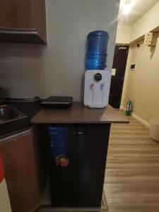 CEBU AVIDA Riala T4 3115(Water Front Casino)