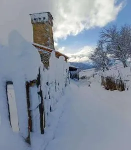 Iamze's Guest House - Cholashi