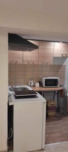 Apartament Śnieżka