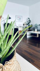 Bonjour Residence with terrace and parking