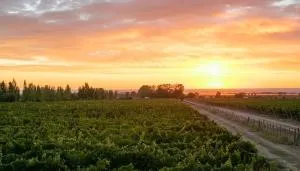 Finca La Pichona - Villa Seca