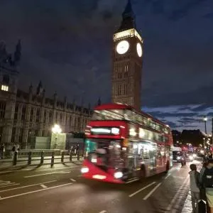 Urban Oasis: North London - 埃德蒙顿