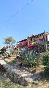 Cabañas Cañon Del Chicamocha