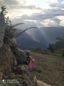 Cabañas Cañon Del Chicamocha