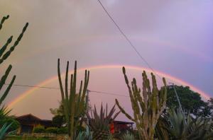 Cabañas Cañon Del Chicamocha