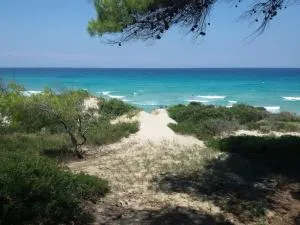 Maya's House at Sani - Filakaí Kassándras