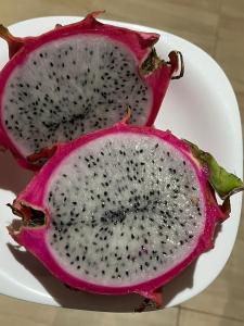 pousada alto da cachoeira