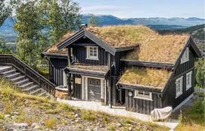 5 Bedroom Stunning Home In Rauland - Åmotsdal