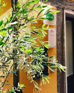 La Polena Camere Vernazza - Suite vista mare