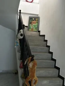 Charming Home - Pilana - Pilane