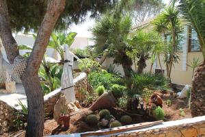 Luagos club Resort
