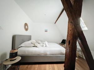 Appartements Le Gite du Kaiser : photos des chambres