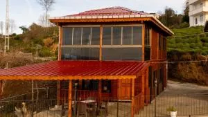 Naylakonak-2 - Cayeli