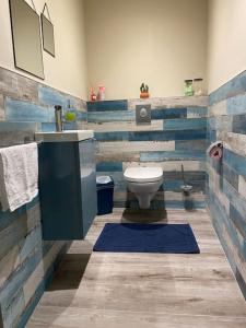 Appartements Logement-sauna-spa-Strasbourg-Colmar-Europa Park : photos des chambres