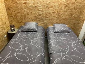 Appartements Logement-sauna-spa-Strasbourg-Colmar-Europa Park : photos des chambres