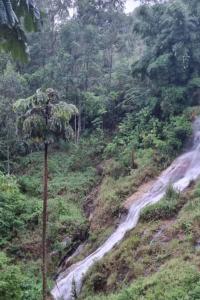 Chalé Suíte Canton Suisse