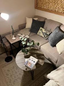 استديو أنيق دخول ذاتي مدخل مستقل يومي و شهري