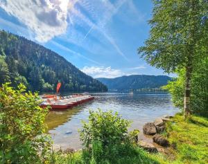 Maisons de vacances Gite Spa 