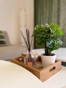 Happy studio Orient bay Palm court Residence