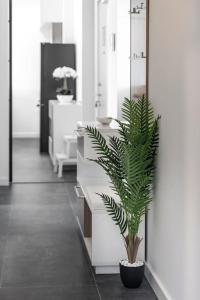 Diva Apartment Dubrovnik