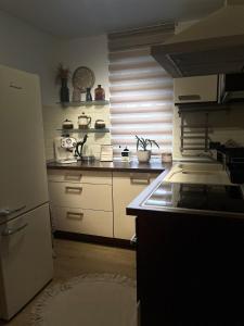 ROMAN Residence Apartment