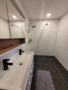 Apartment an der Donau