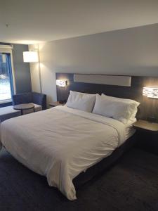 Standard King Room room in Holiday Inn Express And Suites Rhinelander By IHG