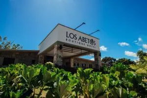 Hotel Boutique Los Abetos - Palmiras Centro