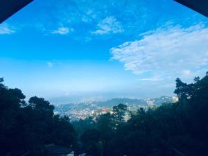 Bird Nest - Hanthana