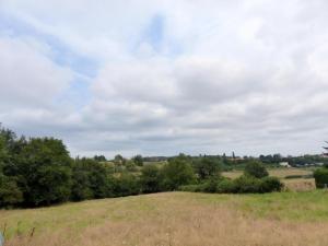 Charmant gîte à Saint-Rémy-en-Rollat avec terrasse et animaux acceptés - FR-1-489-492