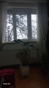 Apartment Milan