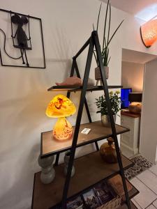 Appartements Gites des capucins centre ville Selestat : photos des chambres