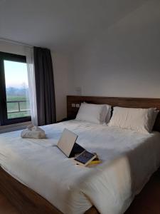 Hotel Brixellum