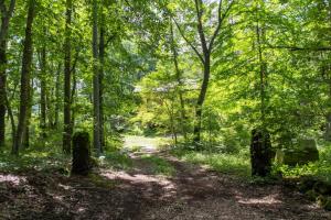 Mori no Komei campsite - Vacation STAY 04454v - 3hvězdičkové hotely ve městě Cumagoi