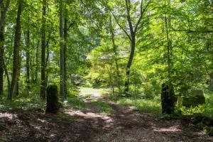 Mori no Komei campsite - Vacation STAY 04454v - 北轻井泽