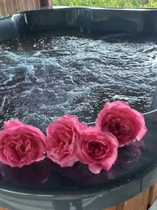 apartament simonka z jacuzzi zawoja - Dejówka