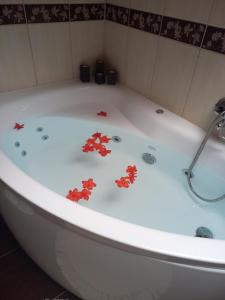 apartament simonka z jacuzzi zawoja