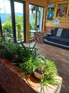 apartament simonka z jacuzzi zawoja