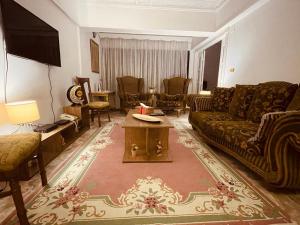 amazing Nile view fully furnished apartment