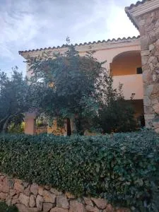 B1 Lu Maestrali 1Piano - Vaccileddi