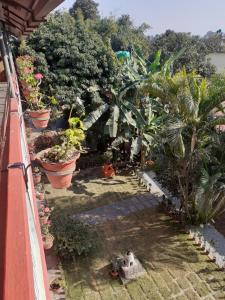 Hotel Vibe by Solitary