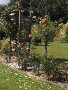 B&B / Chambres d'hotes Aux Volets Bleus : photos des chambres