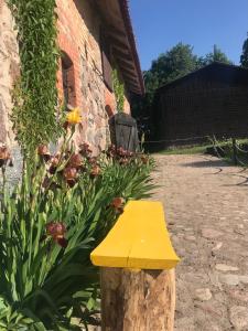 Folwark Mazurskie Legendy - Azyl dla Dorosłych