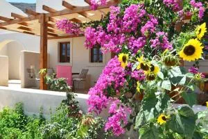 Cactus hideaway with sea views - Imerovigli