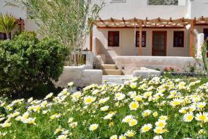 Cactus hideaway with sea views