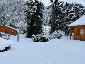 Chalets Capucine 1 : photos des chambres