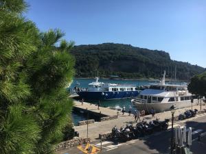 Apartamento de 1 dormitorio