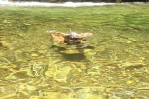 Loft Alto Nível Teresópolis